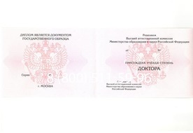 Диплом доктора наук 2007