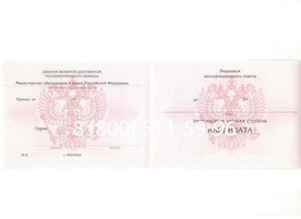 Диплом кандидата наук 2010