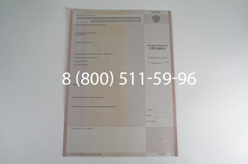 Заказать Академическая справка 1996-2009 года в Нижнем Новгороде