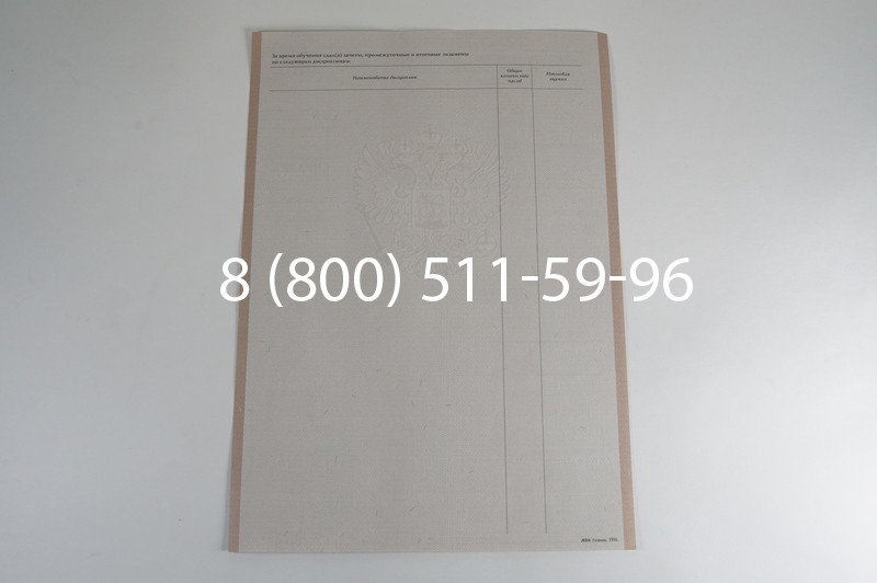 Заказать Академическая справка 1996-2009 года в Нижнем Новгороде