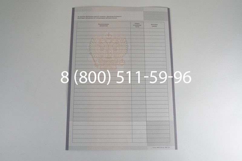 Заказать Академическая справка образца 2010-2011 год для колледжа в Нижнем Новгороде