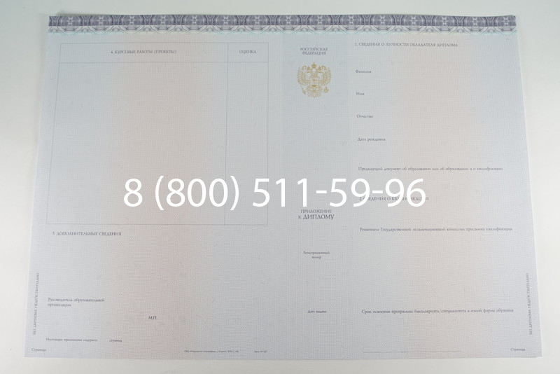 Диплом бакалавра (Киржач) 2014-2026 года в Нижнем Новгороде