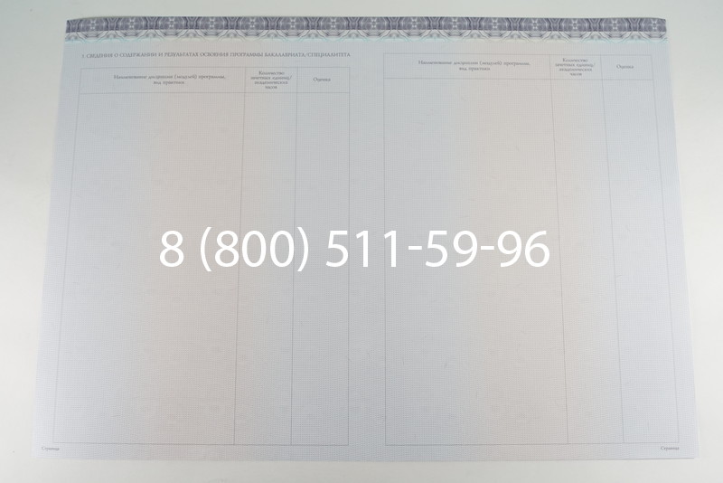 Диплом бакалавра (Киржач) 2014-2026 года в Нижнем Новгороде