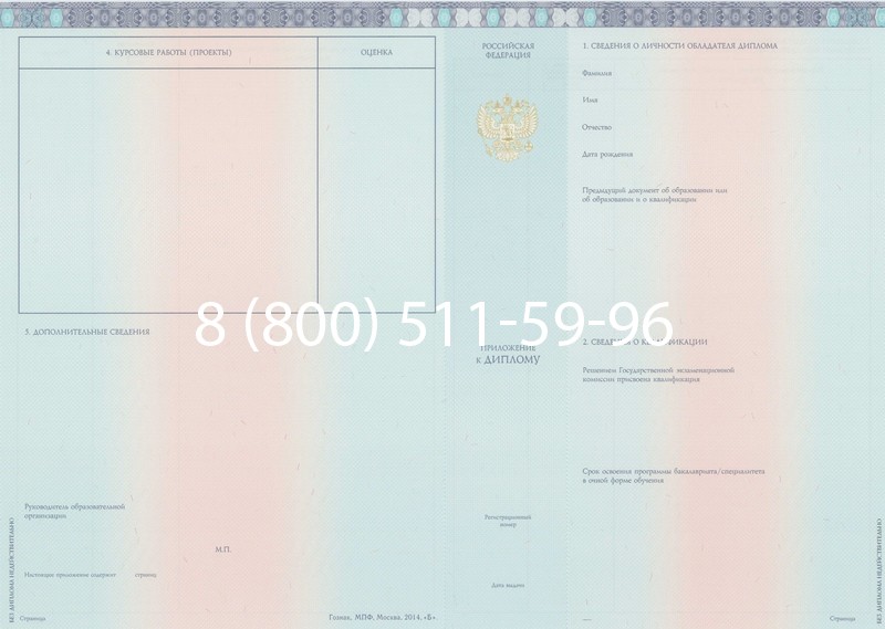 Заказать Диплом бакалавра 2014-2026 года в Нижнем Новгороде
