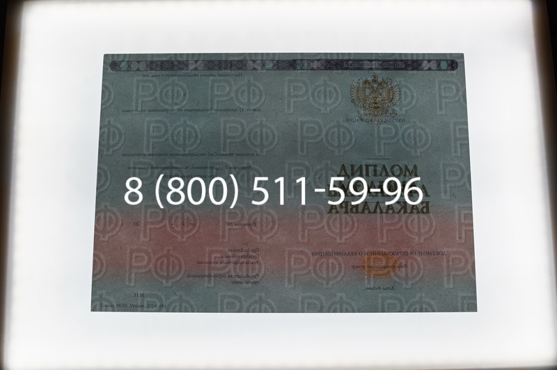 Заказать Диплом бакалавра 2014-2026 года в Нижнем Новгороде