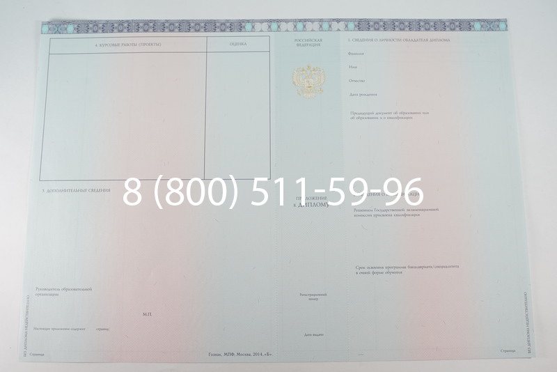 Диплом бакалавра 2014-2026 года в Нижнем Новгороде