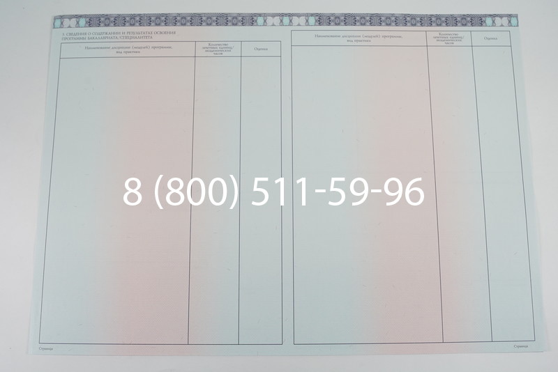 Диплом бакалавра 2014-2026 года в Нижнем Новгороде