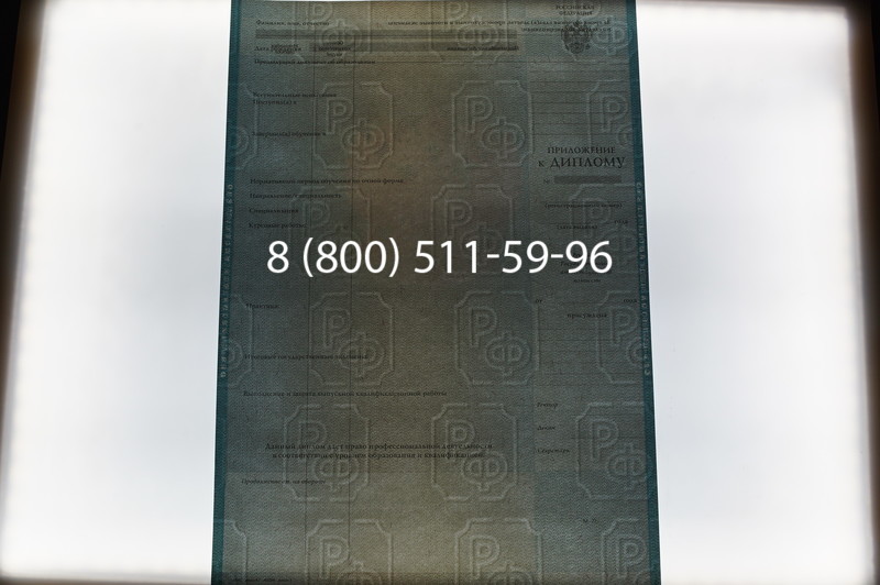 Заказать Диплом бакалавра 1997-2002 годов в Нижнем Новгороде