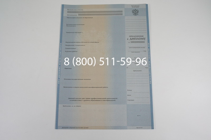 Заказать Диплом бакалавра 1997-2002 годов в Нижнем Новгороде