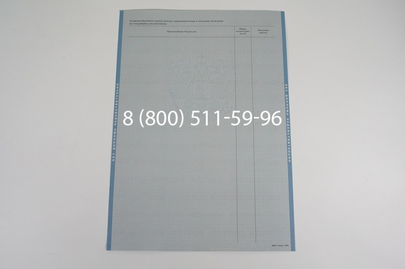 Заказать Диплом бакалавра 1997-2002 годов в Нижнем Новгороде