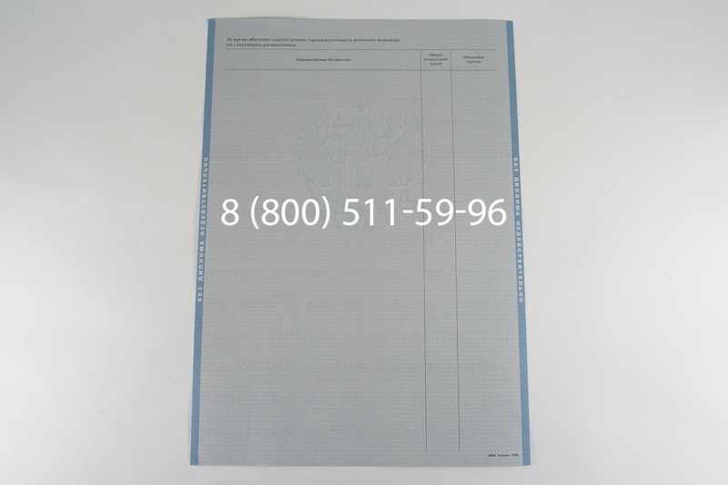 Диплом бакалавра 2003-2009 годов в Нижнем Новгороде