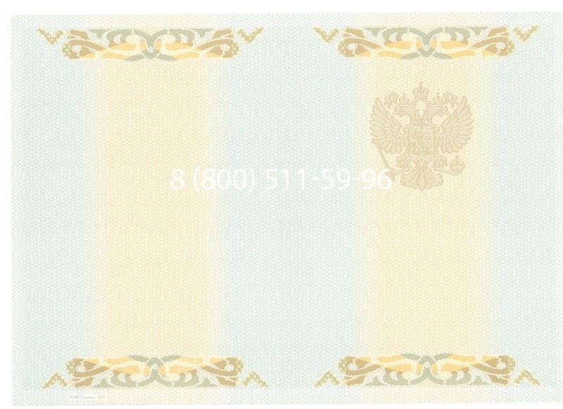 Купить Диплом бакалавра 2003-2009 годов в Нижнем Новгороде