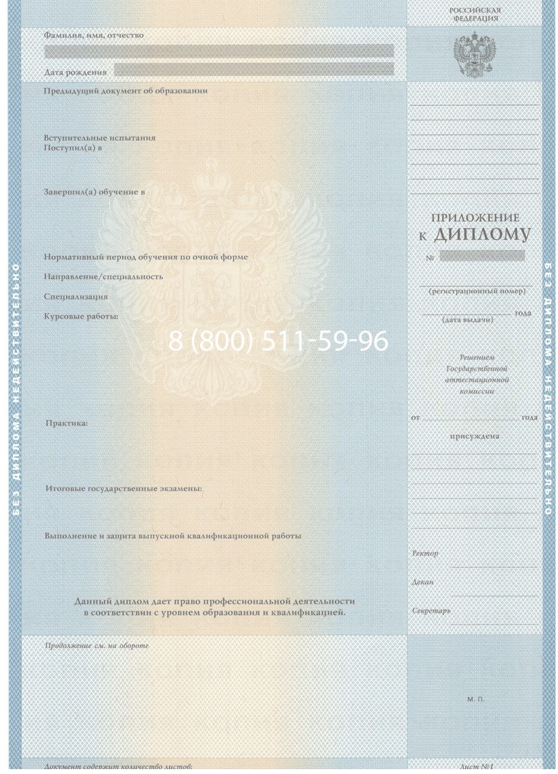 Заказать Диплом бакалавра 2003-2009 годов в Нижнем Новгороде