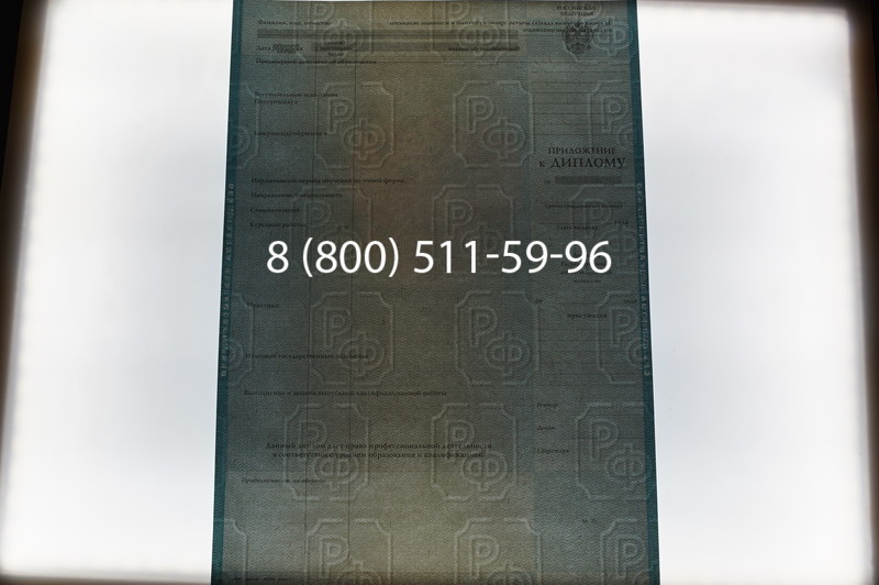 Заказать Диплом бакалавра 2003-2009 годов в Нижнем Новгороде