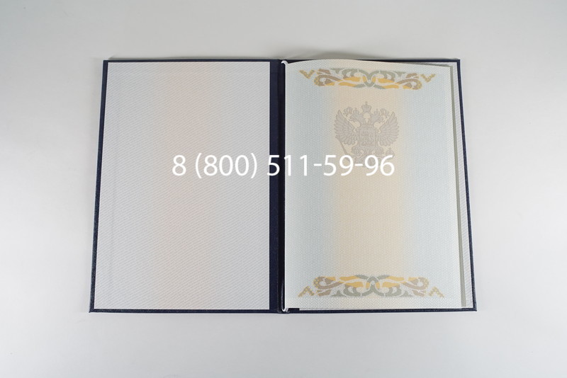 Диплом бакалавра 2003-2009 годов в Нижнем Новгороде