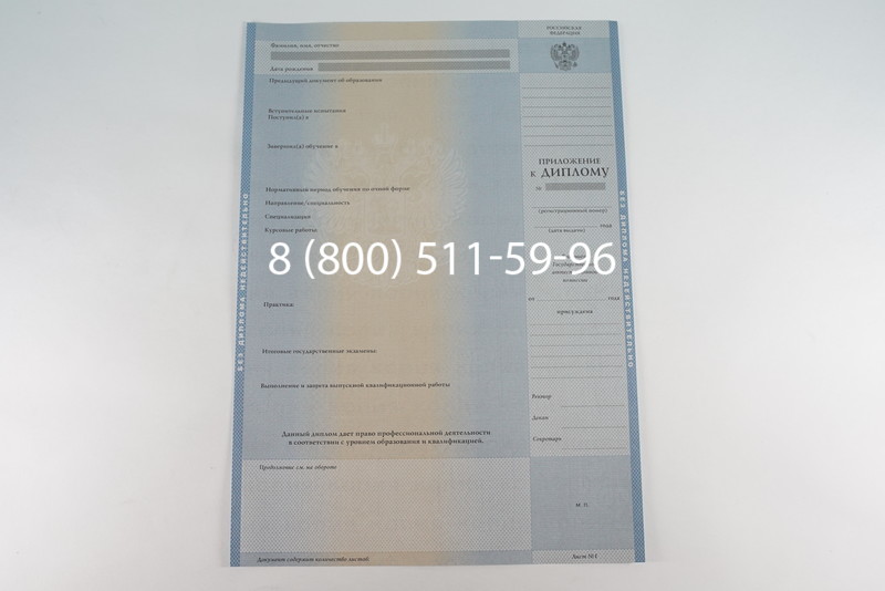 Диплом бакалавра 2003-2009 годов в Нижнем Новгороде