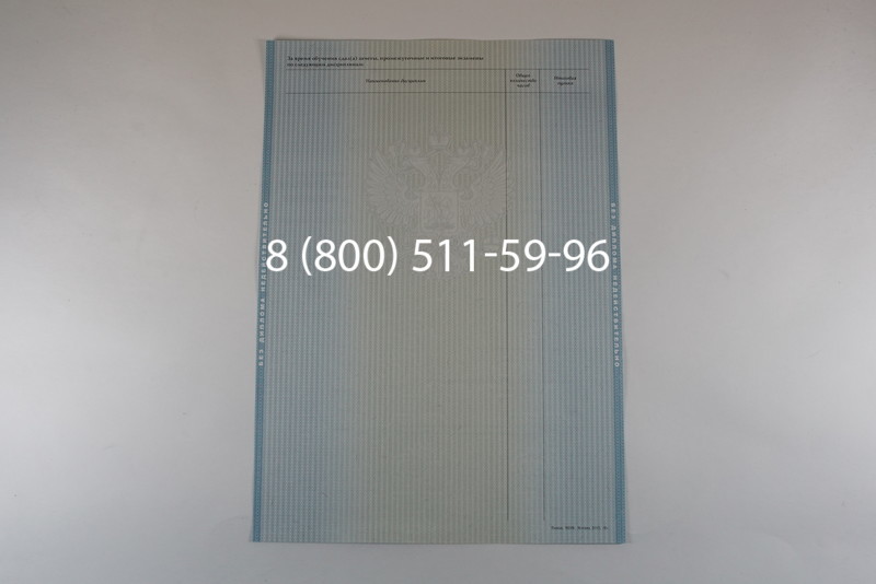 Диплом бакалавра 2012-2013 годов в Нижнем Новгороде