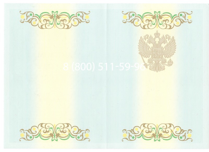 Купить Диплом бакалавра 2012-2013 годов в Нижнем Новгороде