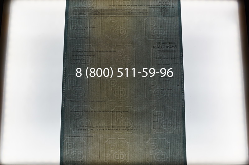 Заказать Диплом бакалавра 2012-2013 годов в Нижнем Новгороде