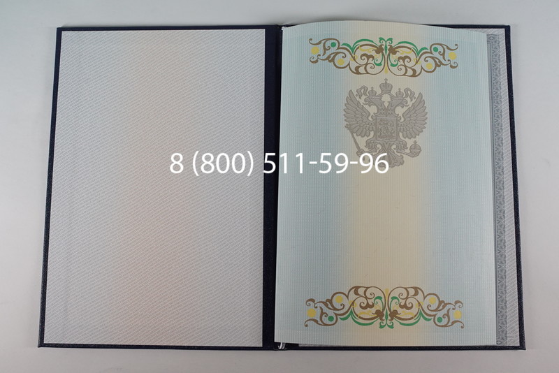 Диплом бакалавра 2012-2013 годов в Нижнем Новгороде