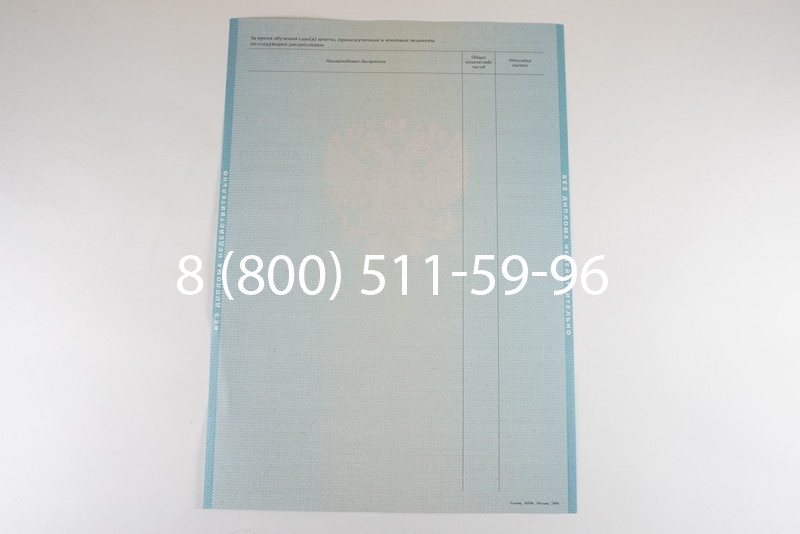 Диплом бакалавра 2010-2011 годов в Нижнем Новгороде