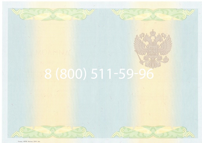 Купить Диплом бакалавра 2010-2011 годов в Нижнем Новгороде