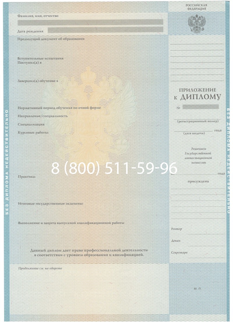 Заказать Диплом бакалавра 2010-2011 годов в Нижнем Новгороде