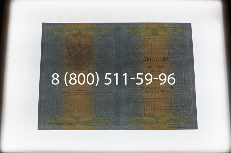 Заказать Диплом бакалавра 2010-2011 годов в Нижнем Новгороде