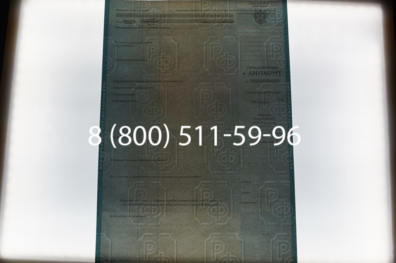 Заказать Диплом бакалавра 2010-2011 годов в Нижнем Новгороде