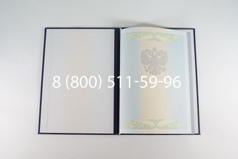 Диплом бакалавра 2010-2011 годов в Нижнем Новгороде