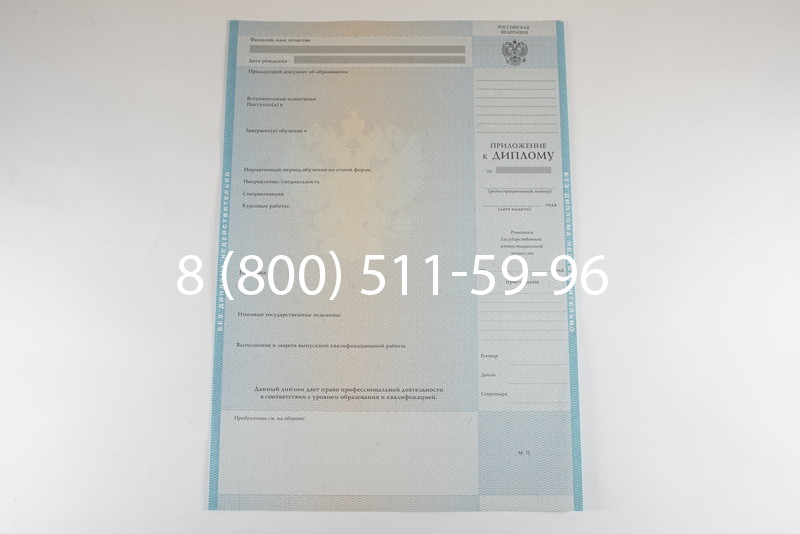 Диплом бакалавра 2010-2011 годов в Нижнем Новгороде