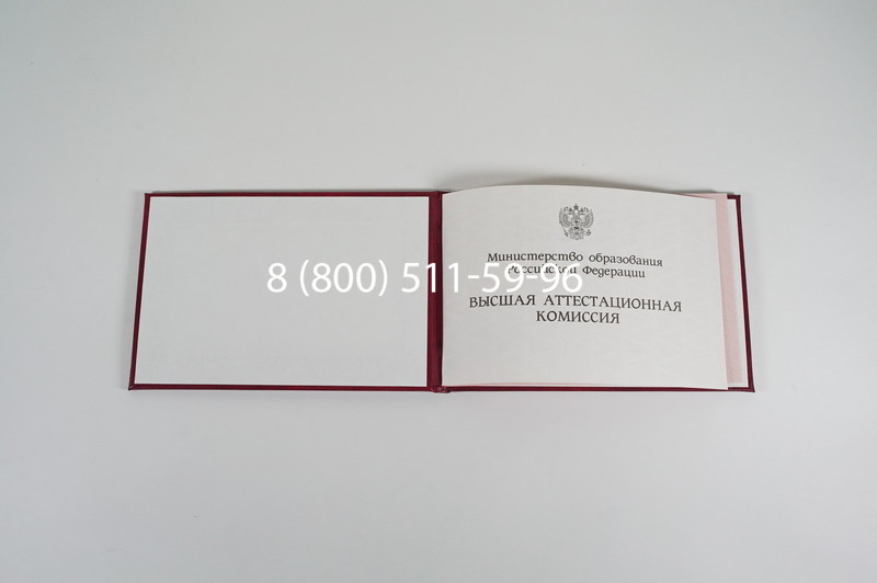 Диплом доктора наук 1995-2006 года в Нижнем Новгороде