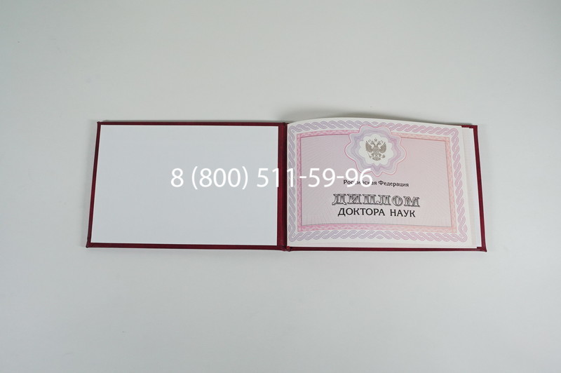 Заказать Диплом доктора наук 2007 в Нижнем Новгороде