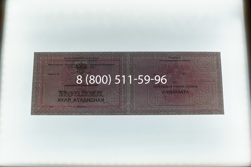 Заказать Диплом кандидата наук 2010 в Нижнем Новгороде