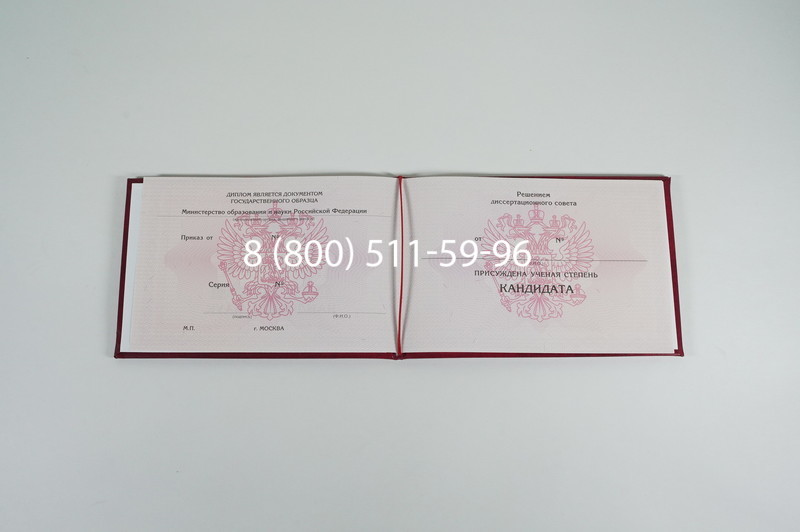 Заказать Диплом кандидата наук 2010 в Нижнем Новгороде