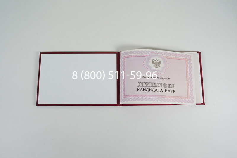 Заказать Диплом кандидата наук 2010 в Нижнем Новгороде
