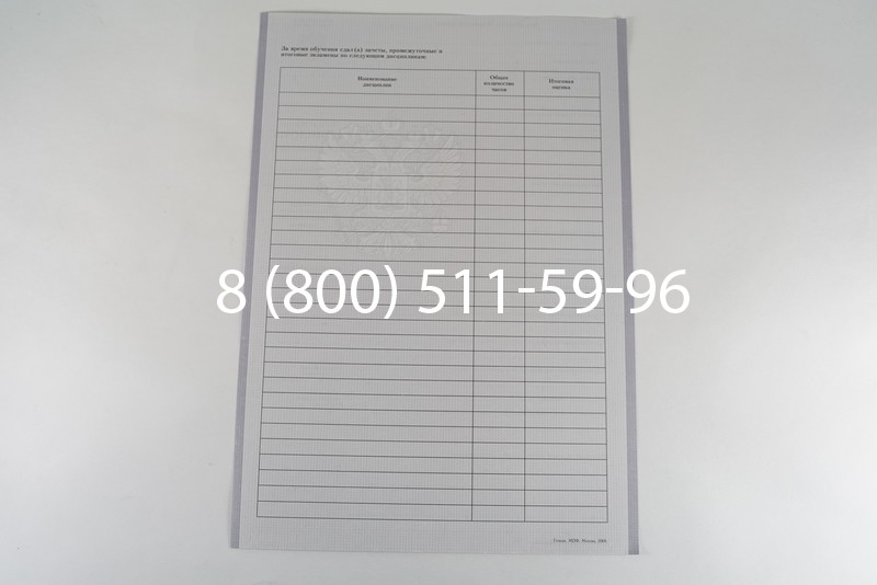 Диплом колледжа 2007-2010 годов в Нижнем Новгороде