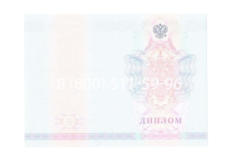 Заказать Диплом колледжа 2007-2010 годов в Нижнем Новгороде