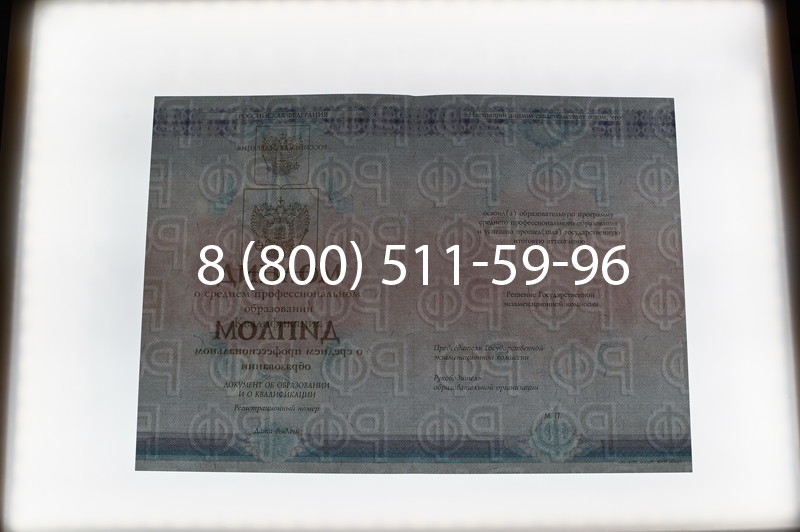 Заказать Диплом колледжа 2014-2026 года  в Нижнем Новгороде