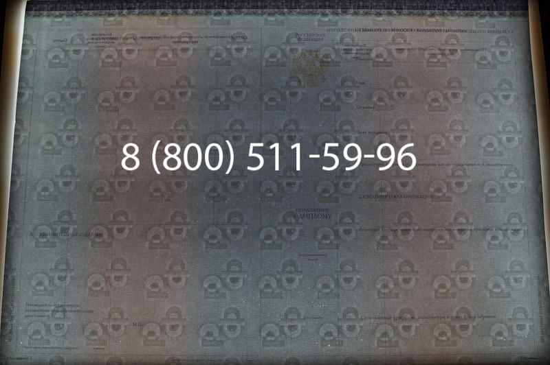 Заказать Диплом магистра (КИРЖАЧ) 2014-2026годов в Нижнем Новгороде