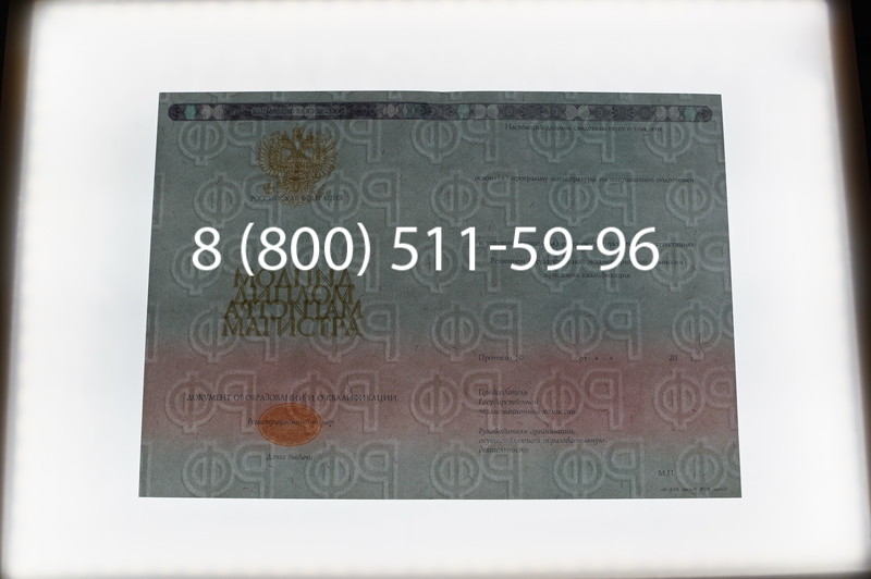 Заказать Диплом магистра 2014-2026 года в Нижнем Новгороде