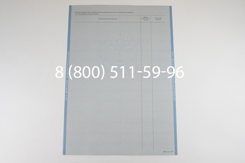 Заказать Диплом магистра 1997-2002 годов в Нижнем Новгороде