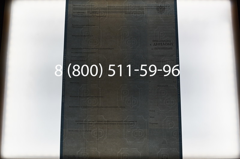 Заказать Диплом магистра 1997-2002 годов в Нижнем Новгороде