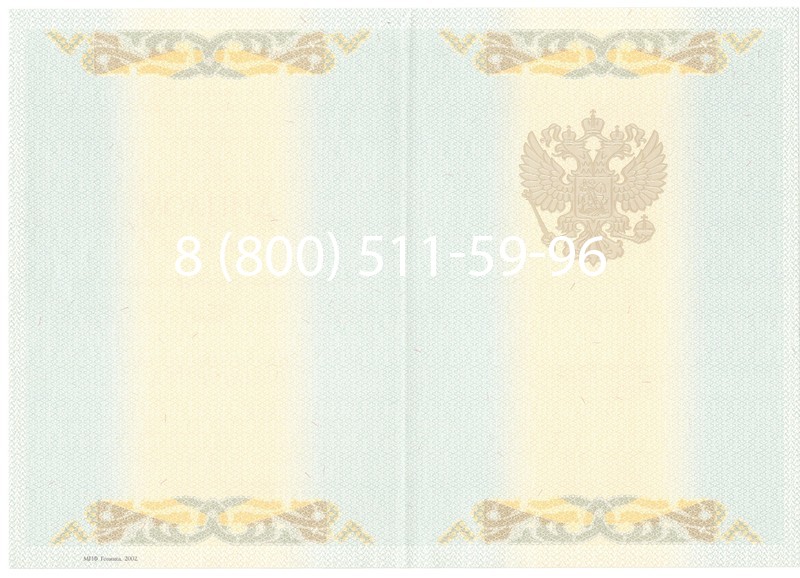 Купить Диплом магистра 2003-2009 годов в Нижнем Новгороде