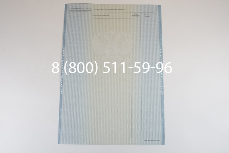 Диплом магистра 2012-2013 годов в Нижнем Новгороде