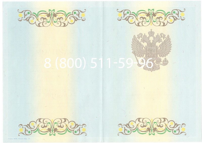 Заказать Диплом магистра 2012-2013 годов в Нижнем Новгороде