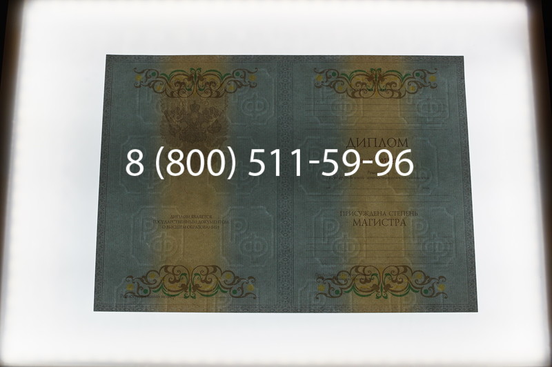 Заказать Диплом магистра 2012-2013 годов в Нижнем Новгороде