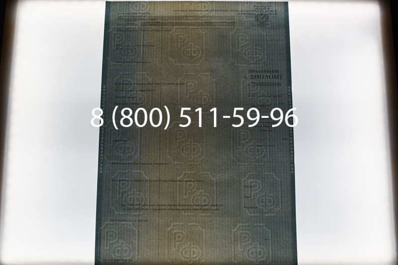 Заказать Диплом магистра 2012-2013 годов в Нижнем Новгороде