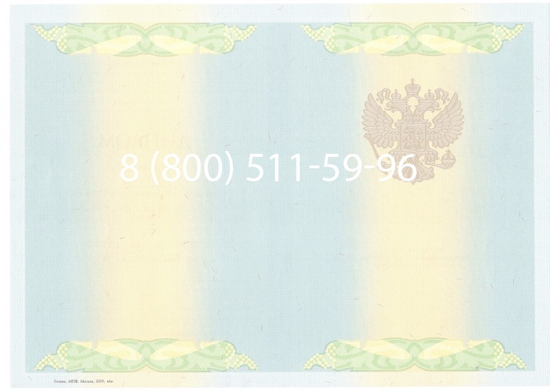 Купить Диплом магистра 2010-2011 годов в Нижнем Новгороде