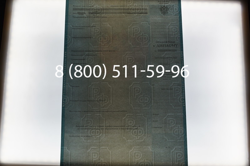 Заказать Диплом магистра 2010-2011 годов в Нижнем Новгороде